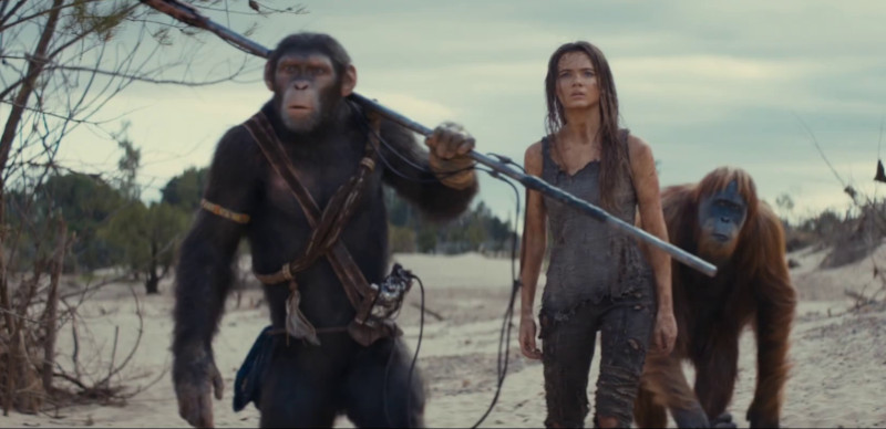KINGDOM OF THE PLANET OF THE APES - Get Tickets Now