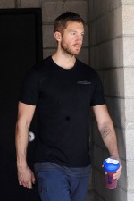 Taylor Swift and Calvin Harris collaboration caused breakup?