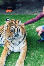 Justin Bieber supports event for zoo charged with animal cruelty