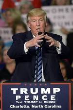 Donald Trump's Walk of Fame star destroyed with sledgehammer