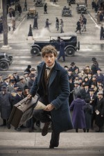 J.K. Rowling squashes Fantastic Beasts sequel rumor