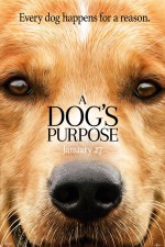 New movies in theaters - A Dog's Purpose, Gold and more