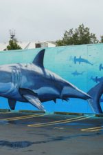 New Zealand artist pays tribute to Rob Stewart and Sharkwater