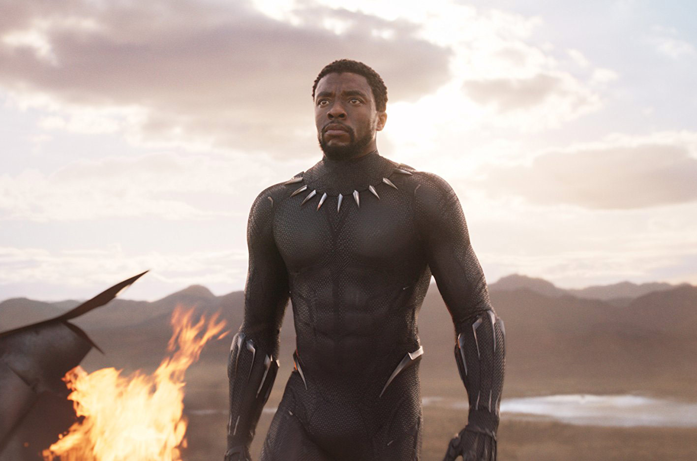 Chadwick Boseman in and as Black Panther