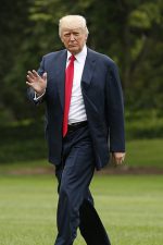 Shark conservation benefits from Donald Trump's hatred