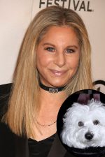 Barbra Streisand faces backlash over cloned dog