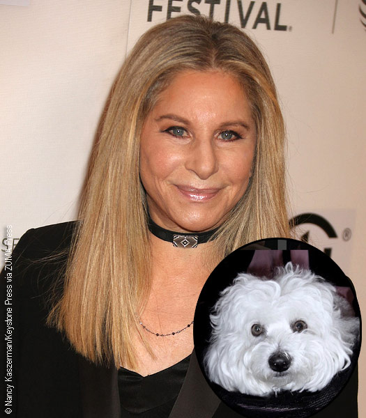 Barbara Streisand with Samantha (inset)