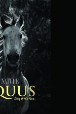 Rob Stewart Award goes to Equus: Story of the Horse