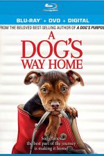 New on DVD - A Dog's Way Home, Holmes & Watson and more!