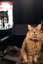 Meet Pet Sematary trainer Melissa Millett and star cat Tonic