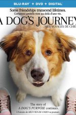 New on DVD - A Dog’s Journey, The Hustle and more!