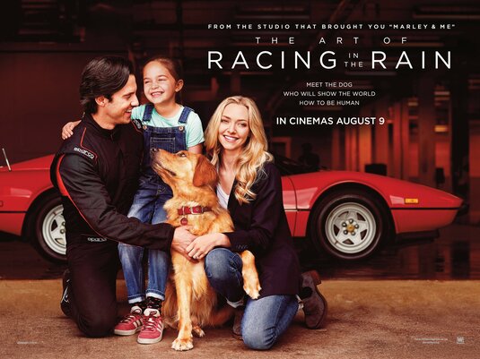The Art of Racing in the Rain movie poster The Art of Racing in the Rain movie poster