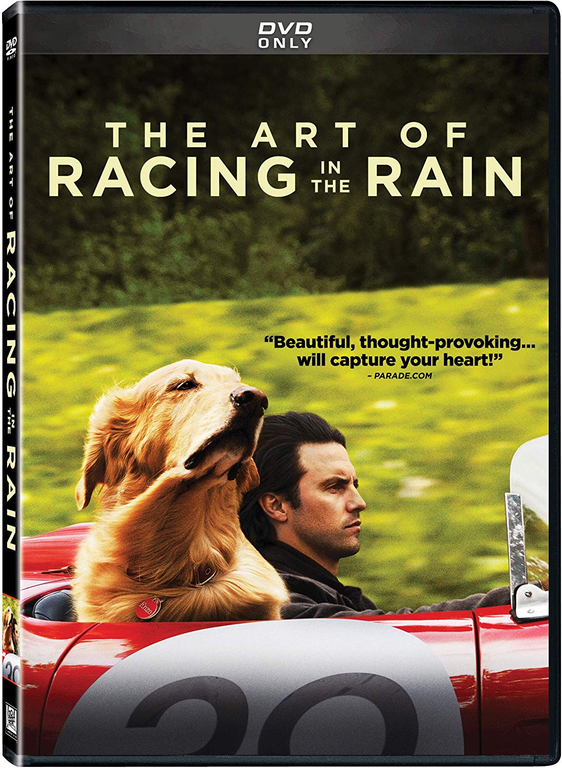 The Art of Racing in the Rain on DVD