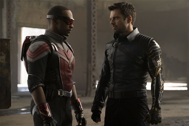 The Falcon and The Winter Soldier (Disney+)