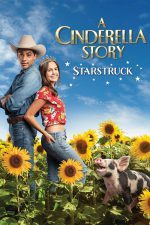 A Cinderella Story: Starstruck - new twist on a timely tale