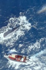 Movie review: The Loneliest Whale: The Search for 52