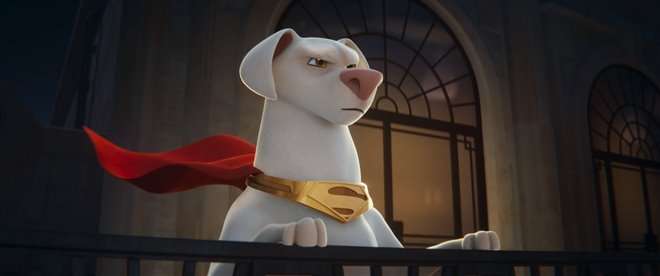 DC League of Super-Pets movie still