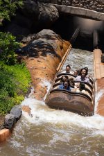 Tiana's Bayou Adventure opens June 28 at Walt Disney World!