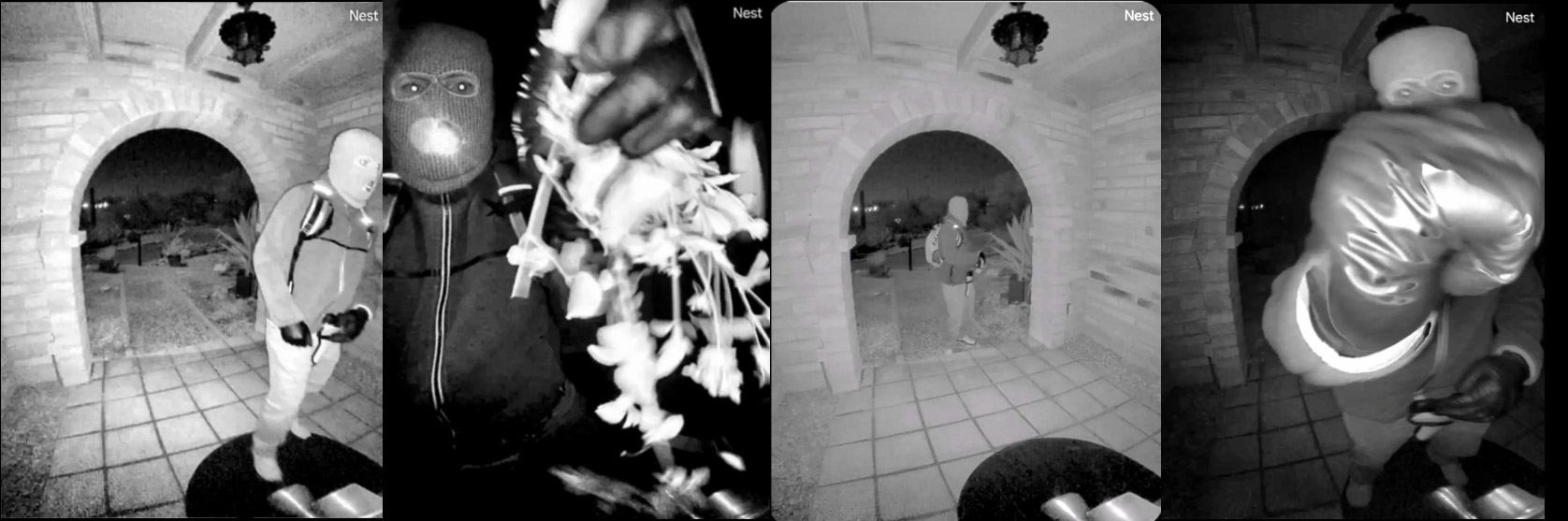 Nest camera photographs of Nancy Guthrie's kidnapper