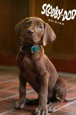 Netflix drops first look at new live-action Scooby-Doo series